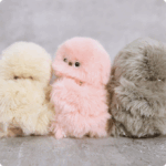 Mirumi: A Charm Robot that Steals a Glance—and Your Heart It spontaneously turns to you, and its innocent gaze instantly lights up your heart, and your day.